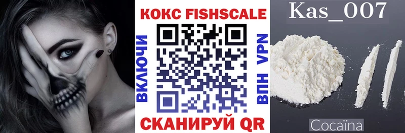 закладки Сунжа COCAIN FishScale