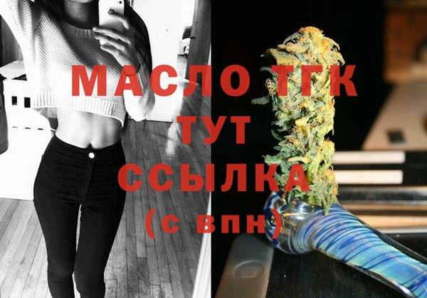 гашик Аркадак