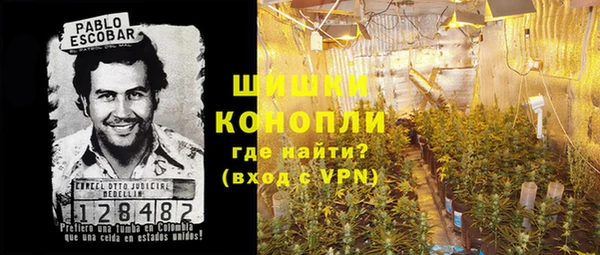 гашик Аркадак