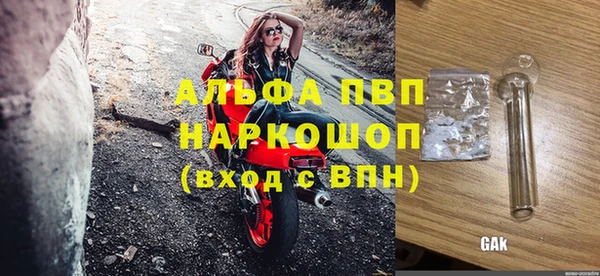 гашик Аркадак