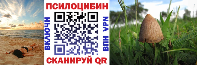 Псилоцибиновые грибы мицелий  купить наркоту  Сунжа 